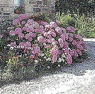 Lemoign-locations Holiday home *
